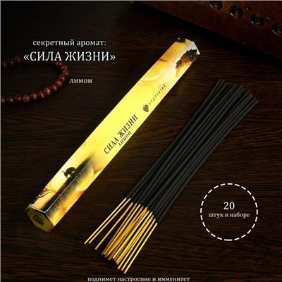 Благовония (палочки) шестигранная упаковка NR-25 СИЛА ЖИЗНИ, 20 шт