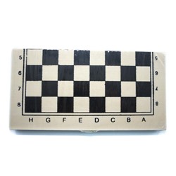 Шахматы-нарды (дерев.) 24*12см / SH-24