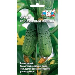 Огурец Сахарный малыш (Седек)