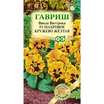 Виола Махровое кружево желтая (Гавр)