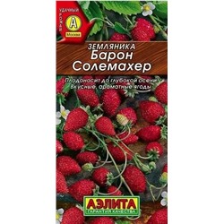 Земляника Барон Солемахер Аэлита