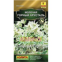 Молочай Горный хрусталь (Аэлита)