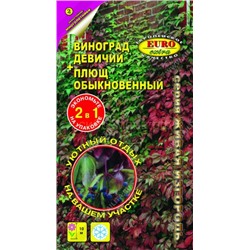 Живая изгородь (виноград + плющ) (Аэлита)