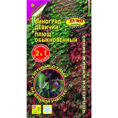 Живая изгородь (виноград + плющ) (Аэлита)