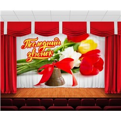 Занавес Последний звонок 8