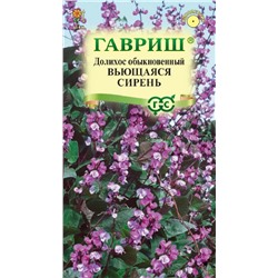 Гиацинтовые бобы (Долихос) Вьющаяся сирень (Гавр)