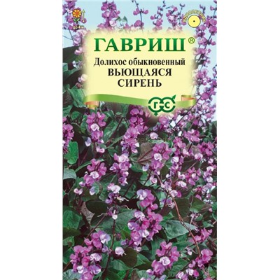 Гиацинтовые бобы (Долихос) Вьющаяся сирень (Гавр)