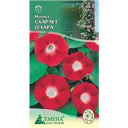 Ипомея Скарлет О' Хара, 0,5г (цв.)