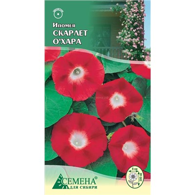 Ипомея Скарлет О' Хара, 0,5г (цв.)