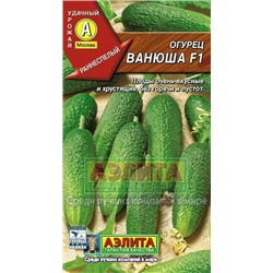 Огурец Ванюша F1 (Аэлита) 10шт
