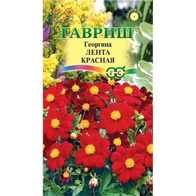 Георгина Лента красная (Гавр)