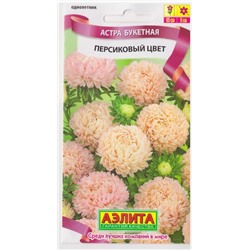 Астра Букетная Персиковый цвет (Код: 69996)