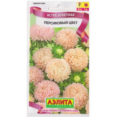 Астра Букетная Персиковый цвет (Код: 69996)
