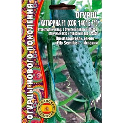 Огурец Катарина F1 (Редкие)