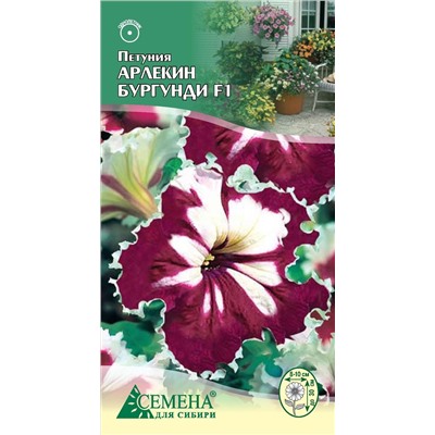 Петуния Арлекин Бургунди F1, 10сем (цв.)