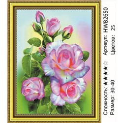 AM34 HWB2650, 30х40 см