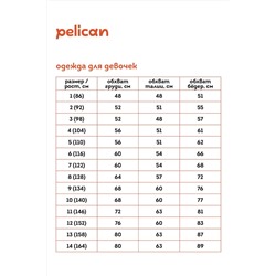 Брюки PELICAN #1043863