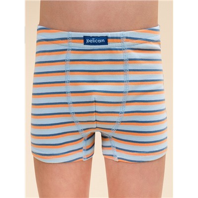 BUHB3352(2) (Трусы для мальчика 2 шт., Pelican Outlet )