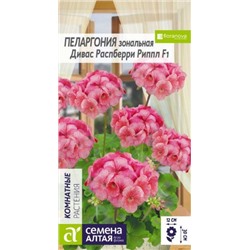Цв.Пеларгония Дивас Распберри Рипл (Сем.Алтая) ком. 4шт