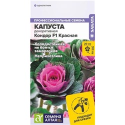 Капуста декоративная Кондор F1 Красная (Алтай)