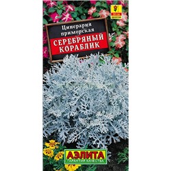 Цинерария Серебряный кораблик (Аэлита)