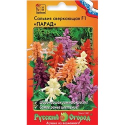 Сальвия Парад F1 смесь (НК)