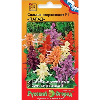 Сальвия Парад F1 смесь (НК)