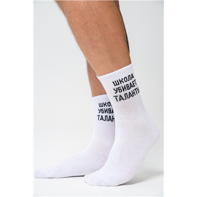 Носки мужские Талант (набор 2 пары)