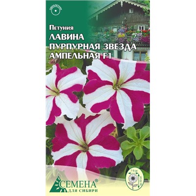 Петуния Лавина Пурпурная звезда амп F1, 10сем (цв.)
