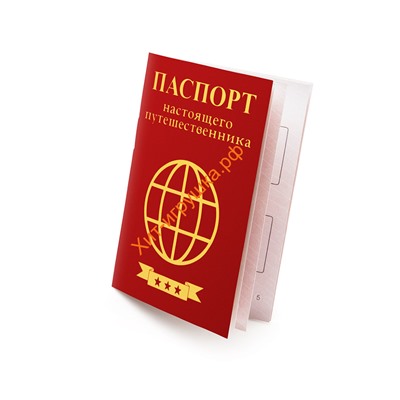 Чемоданчик с развлечениями (квест) "Путешествие вокруг света" tr101, tr101