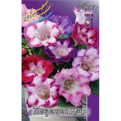 Глоксиния Тигрина микс 2шт (ИС)