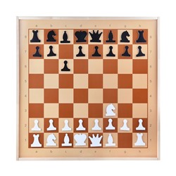 Демонстрационные шахматы магнитные (мини)