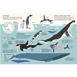 Уценка. Подводный мир. Визуальный гид