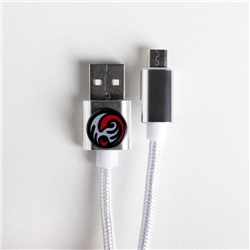 Набор кабель USB - micro USB и штекер «Мужской», 1 м