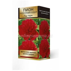 Пион Ред Чарм трав.1шт (Поиск)