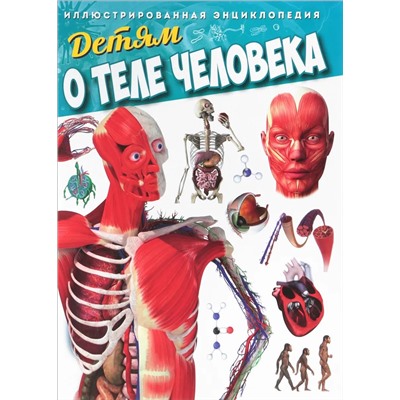 Детям о теле человека. Иллюстрированная энциклопедия