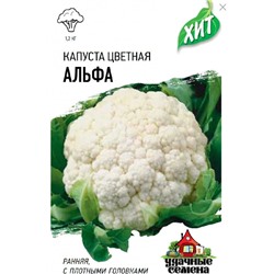 Капуста цветная Альфа