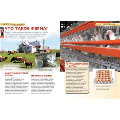 Уценка. Животные фермы. Детская энциклопедия (новая обл.)