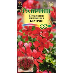 Пеларгония Беатрис ампельная (Гавр)