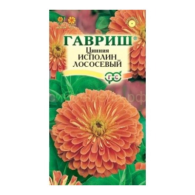 Цинния Исполин лососевый (Гавр)