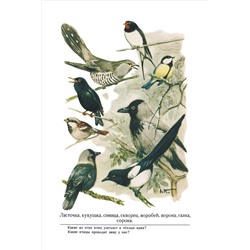 Родная речь. Книга для чтения в 1 классе начальной школы. Соловьёва Е.Е. и др. 1954
