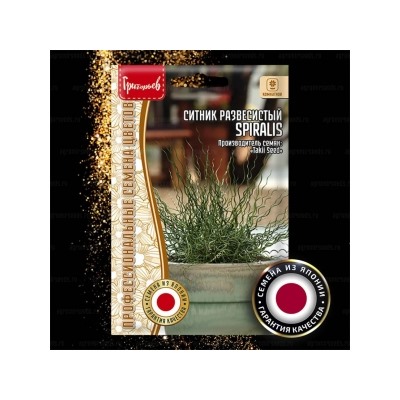 Цв.Ситник Спиралис (Spiralis) (Григорьев) 3шт
