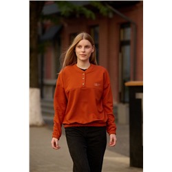 толстовка 3481-36