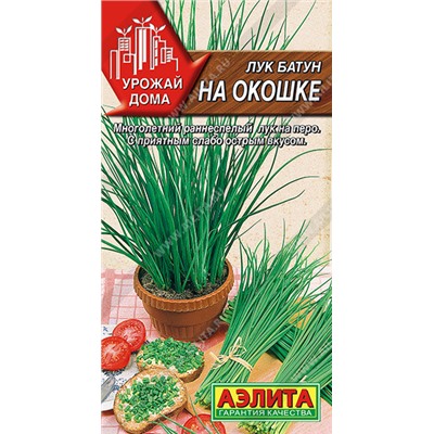 Лук батун На Окошке Аэлита