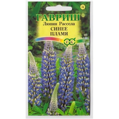 Люпин Рассела Синее пламя (Код: 11622)