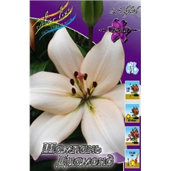 Лилии Шампань Диамонд 7шт (ИС) ЛА