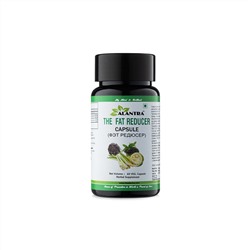 THE FAT REDUCER Capsule, Alantra (Аюрведические капсулы ФЭТ РЕДЮСЕР уменьшение жира, Алантра), 60 капс.