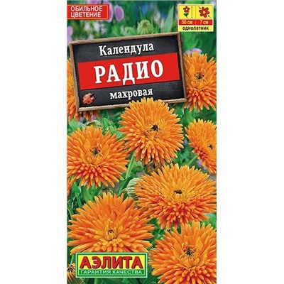 Календула Радио Аэлита