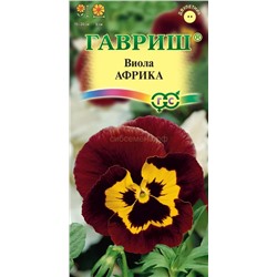Виола Африка (Гавр)