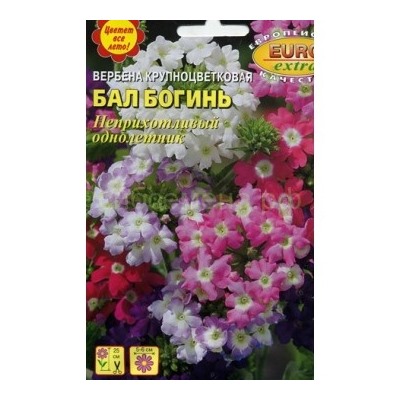 Вербена Бал богинь крупноцветковая смесь (Аэлита)